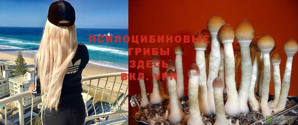mdma Кодинск