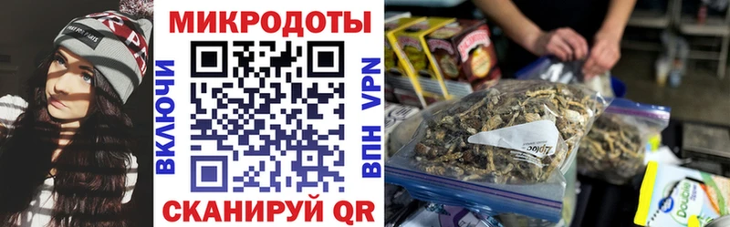 Галлюциногенные грибы Psilocybe  Купить закладки  Порхов 